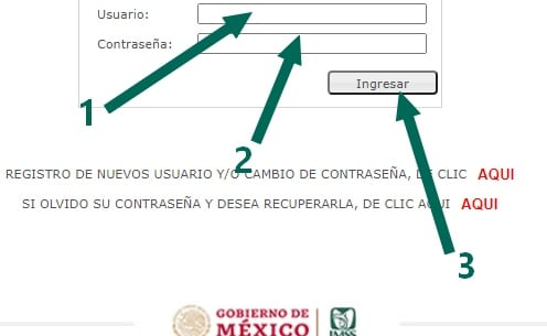 usuario y contraseña imss