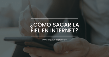 sacar la FIEL
